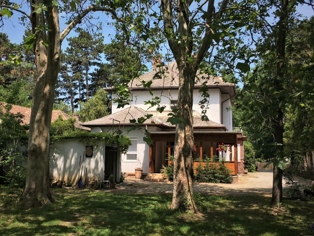 Honved Apartmanhaz Balatonlelle Exterior photo